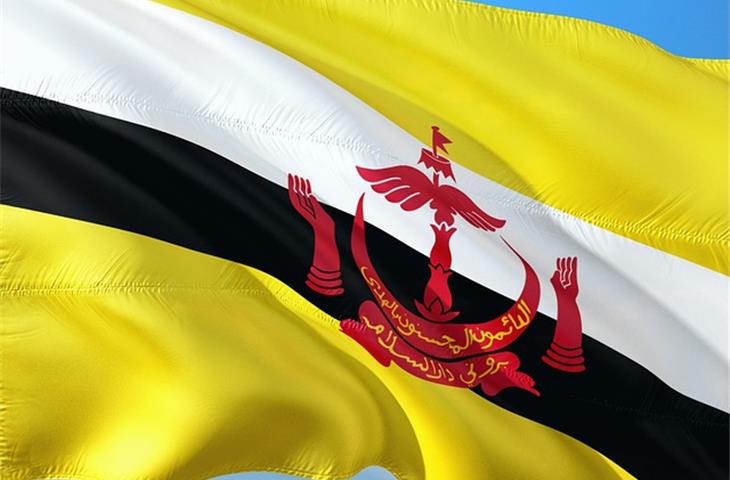 exchange rate brunei to pound today